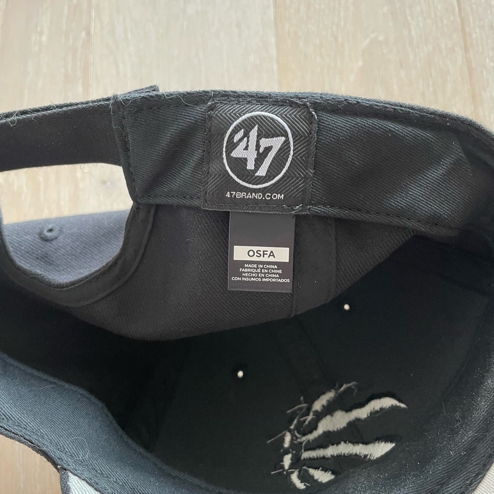 Toronto Raptors hat - Picture 4 of 5